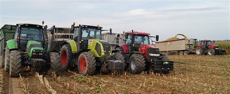 Kukurydziane Niwa Kombajny Case Ih Axial Flow W Akcji