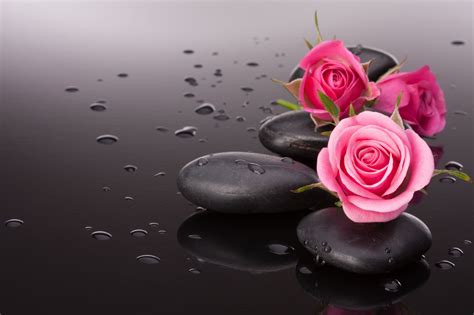 nice wallpapers for whatsapp 9