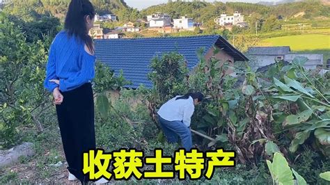 二哥和大伙来到表妹这里买菜回丈母娘家，二嫂爸妈热情招待，甚至还收获了土特产【农家洁子二嫂】 Youtube