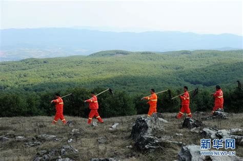 林下“裂變”山間“藏寶”——國家生態文明試驗區貴州的“綠色減貧”之路中國扶貧線上國家扶貧門戶