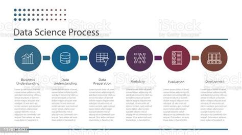 Science Des Données Ou Processus Dexploration De Données Vecteurs