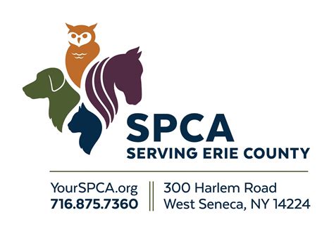 spca logo color horizontal ws address dog cat pet adoption animal