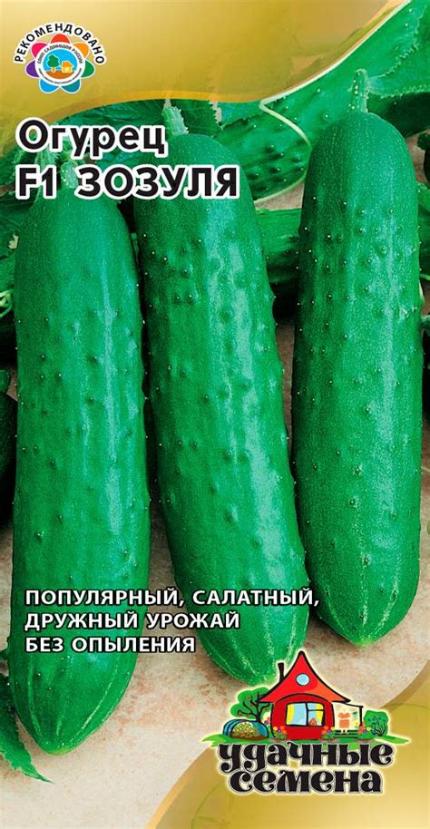Зозуля огурцы: описание, выращивание, уход, фото