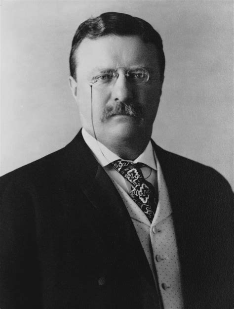 Collectibles Collectibles And Art 26th 34 Theodore Roosevelt 8x10 Photo