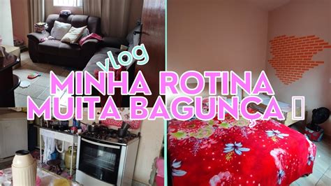 Vlog Rotina Da Casa Limpei E Organizei Tinha Muita Bagun A