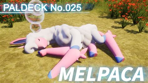 Paldeck No 025 MELPACA Palworld Gameplay Pocketpair YouTube