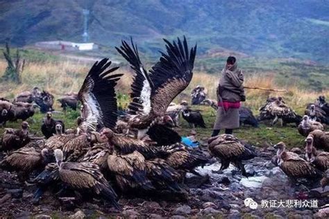 Captivating Tradition Of Sky Burial, Its Religious And Cultural ...