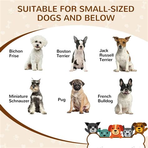 57 Breeds Of Dog Chart, Svg, Jpg, Png, 16*20'', 40% OFF