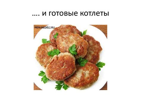 Домашние полуфабрикаты. Заморозка из мяса, птицы, рыбы - online ...