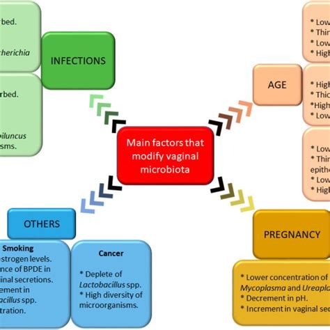 Main Factors That Modify Vaginal Microbiota Different Factors Could