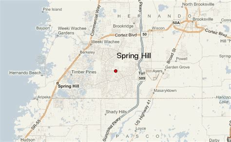 spring hill fl elevation map companyyra