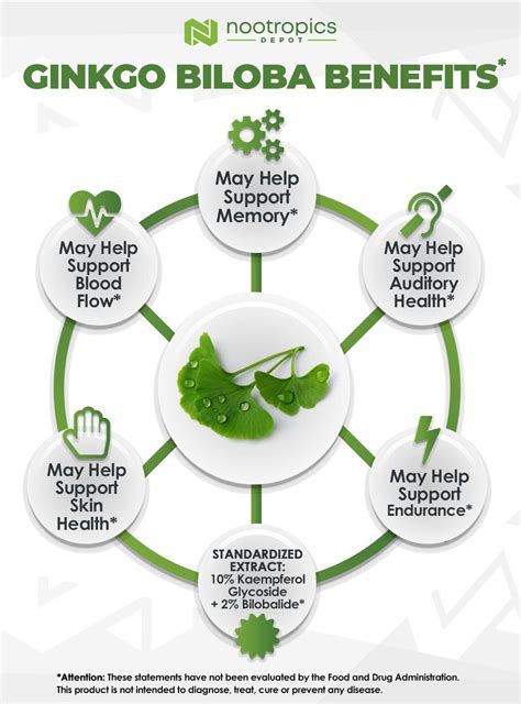 buy ginkgo biloba tablets gingko biloba benefits