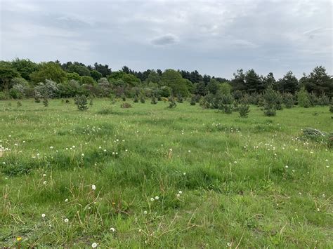 UNDER OFFER - LAND WITH DEVELOPMENT POTENTIAL FOR 56 HOLIDAY LODGES