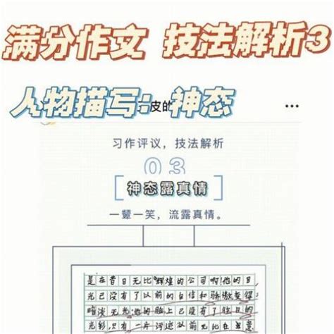 我该怎么学语文作文：从零基础到作文高分秘籍 史册号