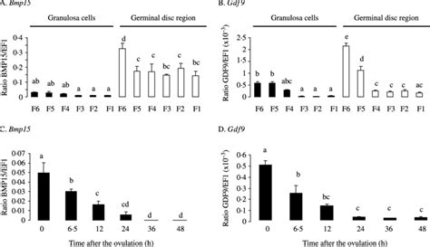 Expression Of Bmp And Gdf Genes During Follicular Maturation And