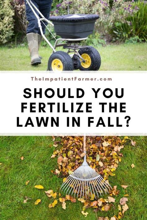 Fertilizing Your Lawn In The Fall Should You Do It