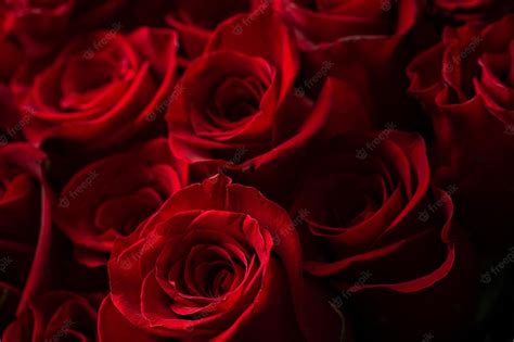 Valentines Red Roses Wallpapers - Wallpaper Cave