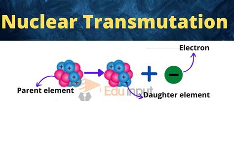 Nuclear Transmutation | Decay Reactions, Alpha Decay, Beta Decay, and Gama Decay