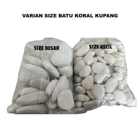 Jual Batu Coral Koral Kupang Putih Hias Tanaman Aquarium Aquascape 1kg