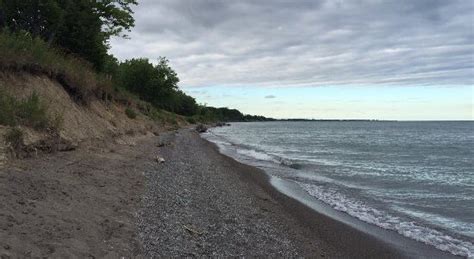 wetlands   restored  lake erie lake huron  fm ckxs