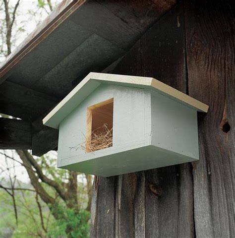 Mourning Dove Nesting Box Woodworking Project Woodsmith Plans