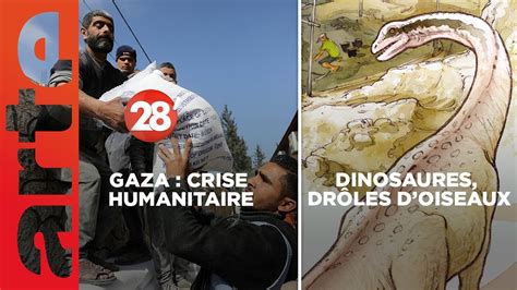 Chasseurs De Dinosaures Gaza Comment Stopper La Catastrophe