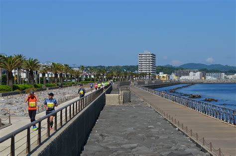 第2回 横須賀・三浦100km・65kmみちくさウルトラマラソン 神奈川県 横須賀市 横須賀ヴェルニー公園（スタート） ソレイユの丘（ゴール） スポーツ大会の検索＆参加申込みなら