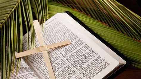 An Incredible Collection Of Palm Sunday Images In Stunning 4k Resolution Over 999 Magnificent