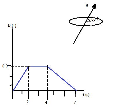 The Magnetic Field Through A 5 Turn 0 25 M Radius Coil Varies With