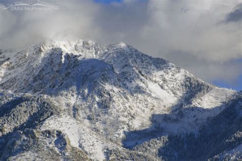 Snowy View Of The Wasatch Mountains In November Mia Mcpherson S On