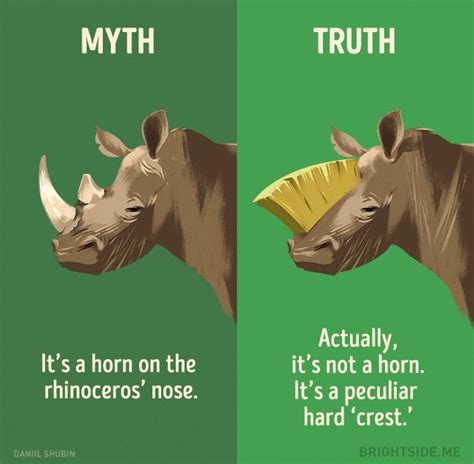 Myths and truths. - Album on Imgur Wow Facts, True Facts, Weird Facts ...