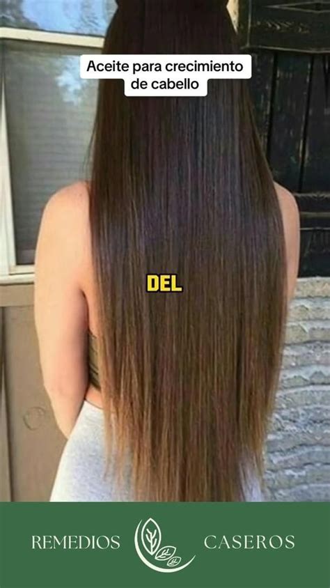 Pin De Enalvis Lopez Martinez En Cabello En Reparación En 2024 Remedios Naturales Para Cabello