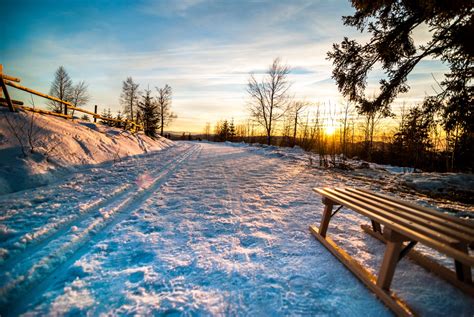 Free Images Landscape Tree Nature Snow Winter Sunrise Sunset