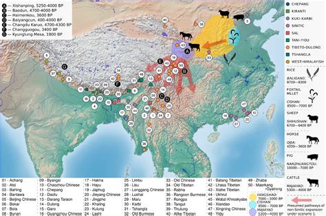 Dated Language Phylogenies Shed Light On The Ancestry Of Sino Tibetan