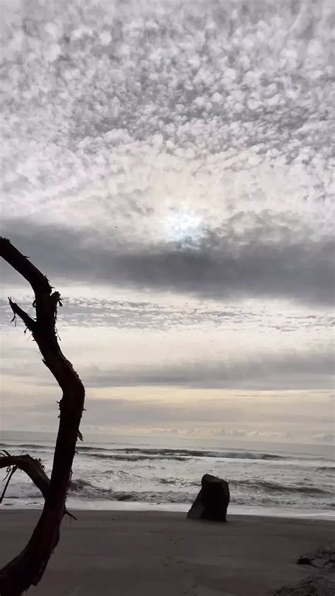 Nude Rocky Beach Swim Ocean Gay Interracial Interracial Porn Feat Beach Scavenger XHamster