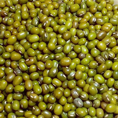 Organic Green Gram Dal For Cooking At Best Price In Ahmedabad Id