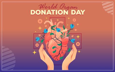 Vector Banner For World Organ Donation Day Heart Stock Vector