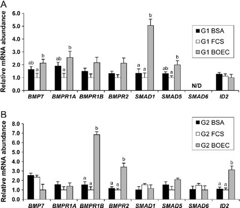 Relative Mrna Abundance Of Bmp Signaling Related Genes In In