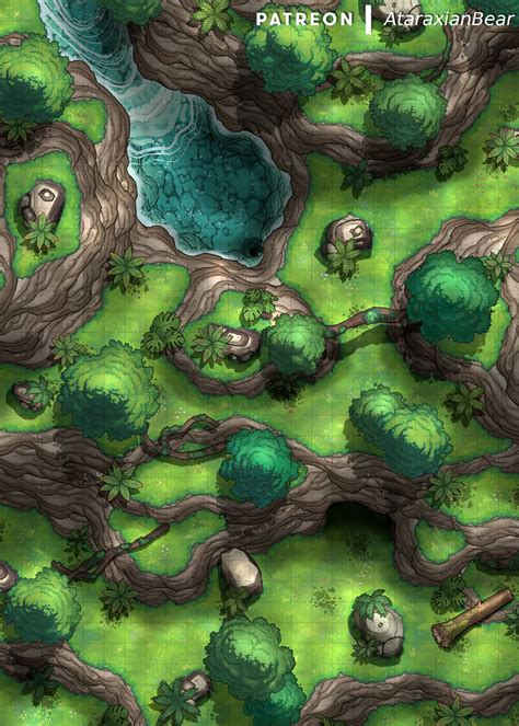 A Forest Encounter Map 25x35 Oc Rdnd