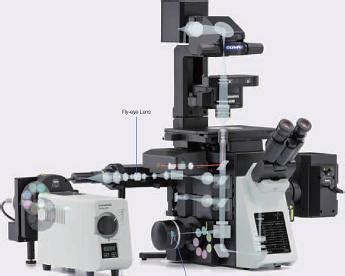 介绍奥林巴斯IX3系列研究级倒置显微镜 景通荧光显微网