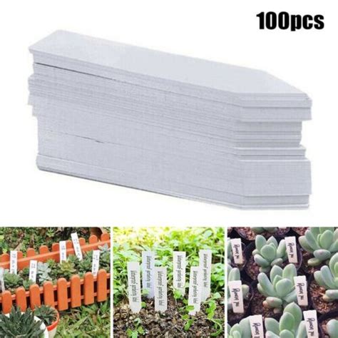 Tiquettes Plantes En Plastique Tiquettes De P Pini Re Pour Jardin