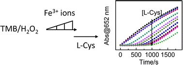 Peroxidase Like Activity Of Ferric Ions And Their Application To