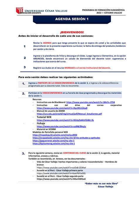 Agenda Sesi N Documento Formacin Docente Programa De Formacin