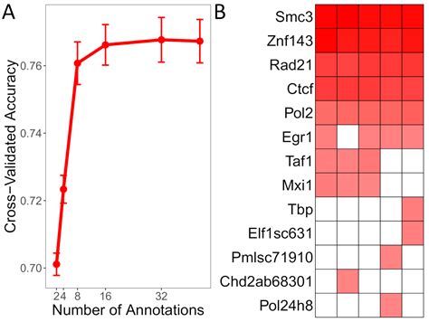 Precisetad A Machine Learning Framework For Precise D Domain Boundary