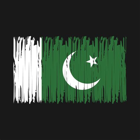 Pakistan Flag Brush 20166691 Vector Art at Vecteezy