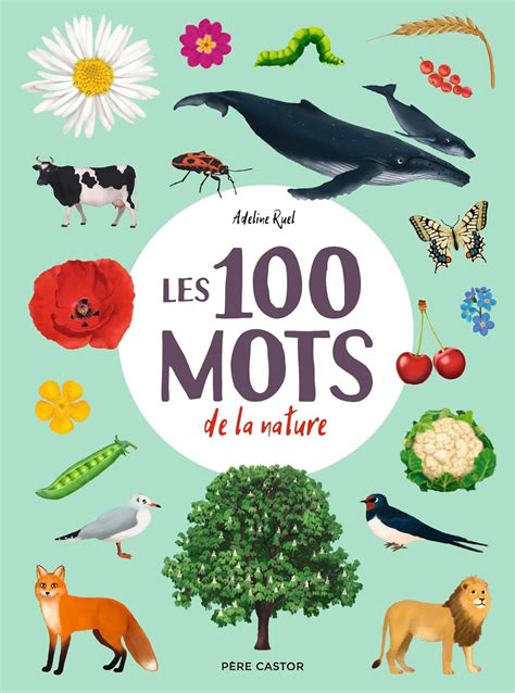 Amazon Les Mots De La Nature Ruel Adeline Books