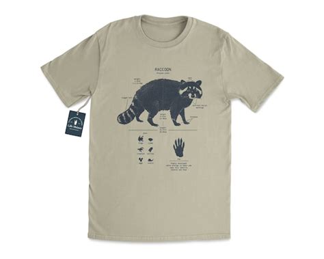 Raccoon Anatomy T Shirt Raccoon T Shirt Biologist Ts Etsy