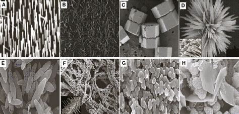 Zno Electron Microscopic Nanostructures A Needles Rods And Wires