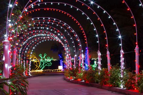 Add Houston Botanic Garden to Your Holiday Lights Bucket List ...