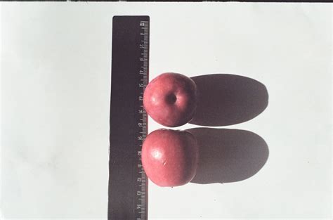 Яблоня Алтайское багряное